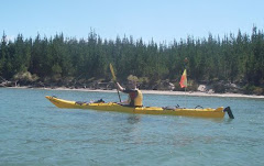 Kayaking along Matakana Island