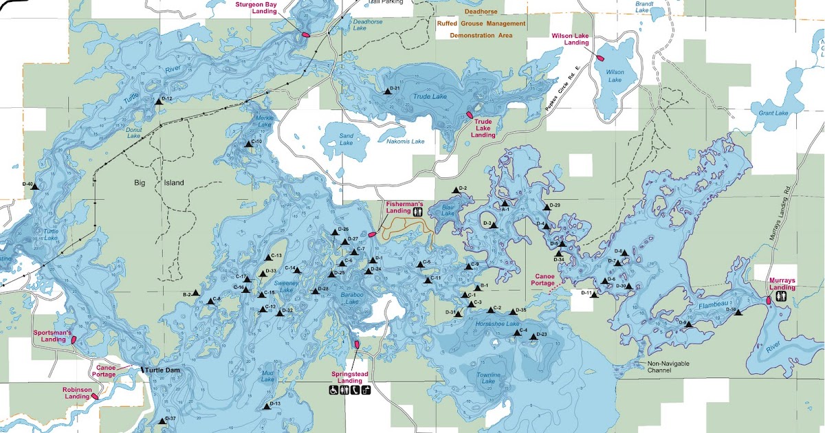 Curriculum Bella Vita TurtleFlambeau Flowage