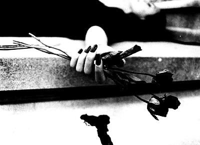 [untitled.bmp]