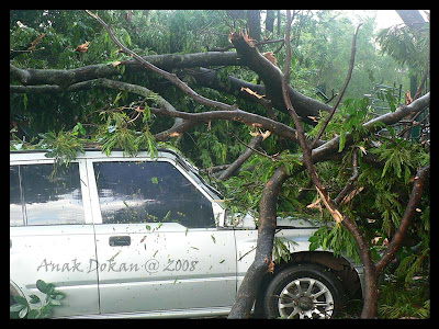 Down Tree