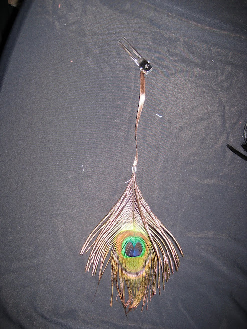 Peacock Hair Clip