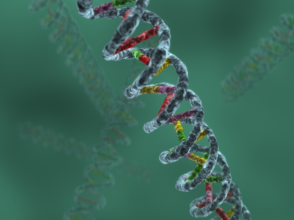 [DNA.JPG]