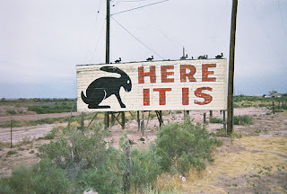 Jackrabbit, Arizona