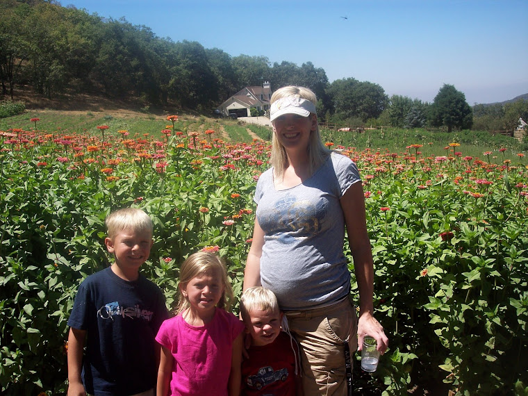 Flower and Raspberry Picking Trip