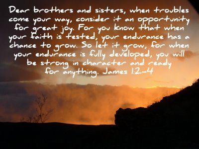 [jamesverse]