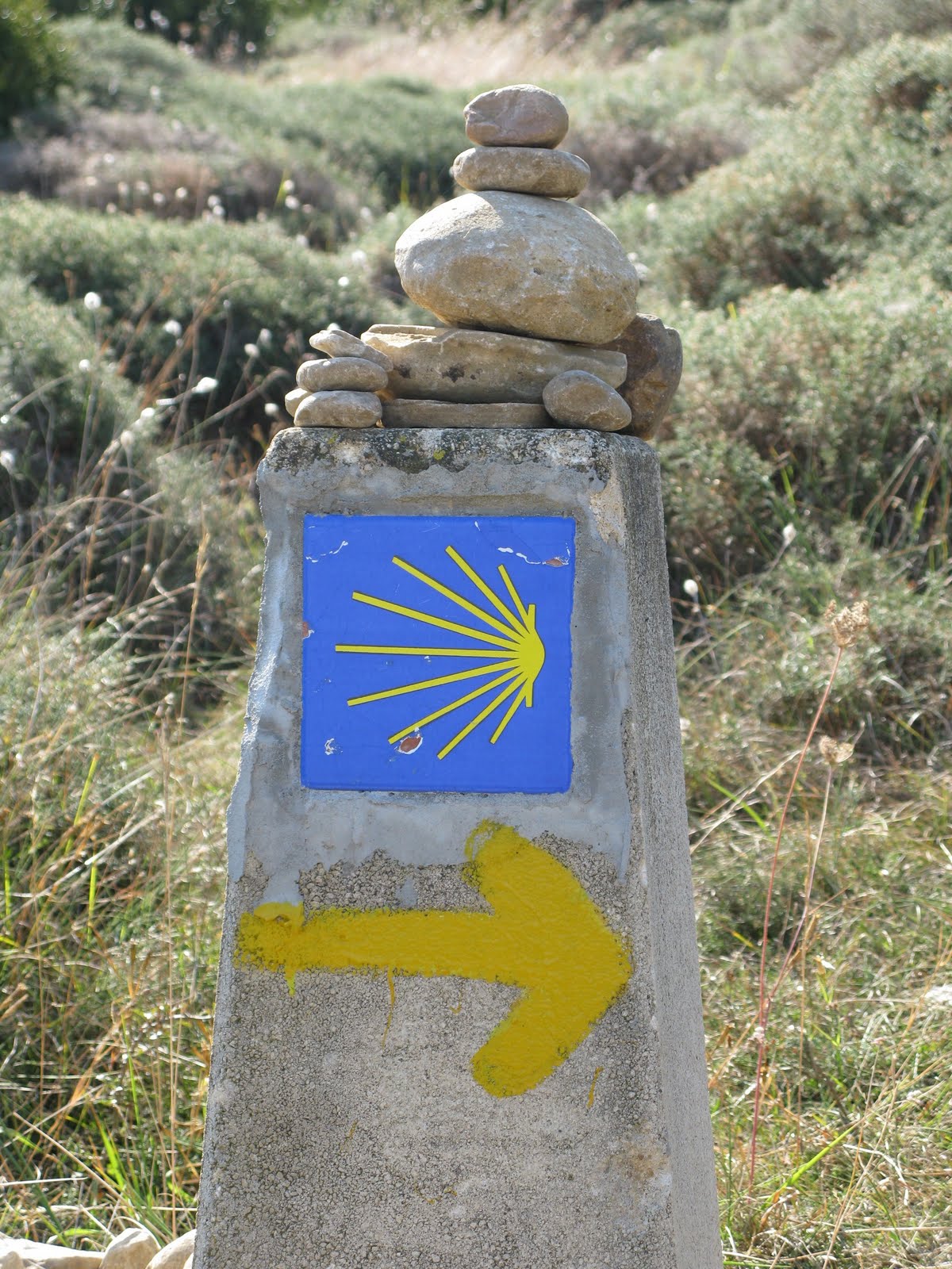 Jakobsweg 2010 Bin Wieder Zu Hause Meine Beine Haben Es Nicht