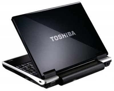 Netbook Toshiba  NB305-A101 