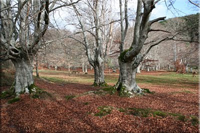 Área de esparcimiento del Parketxe