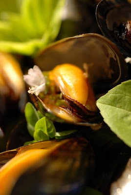 Dorian Cuisine Com Mais Pourquoi Est Ce Que Je Vous Raconte Ca
