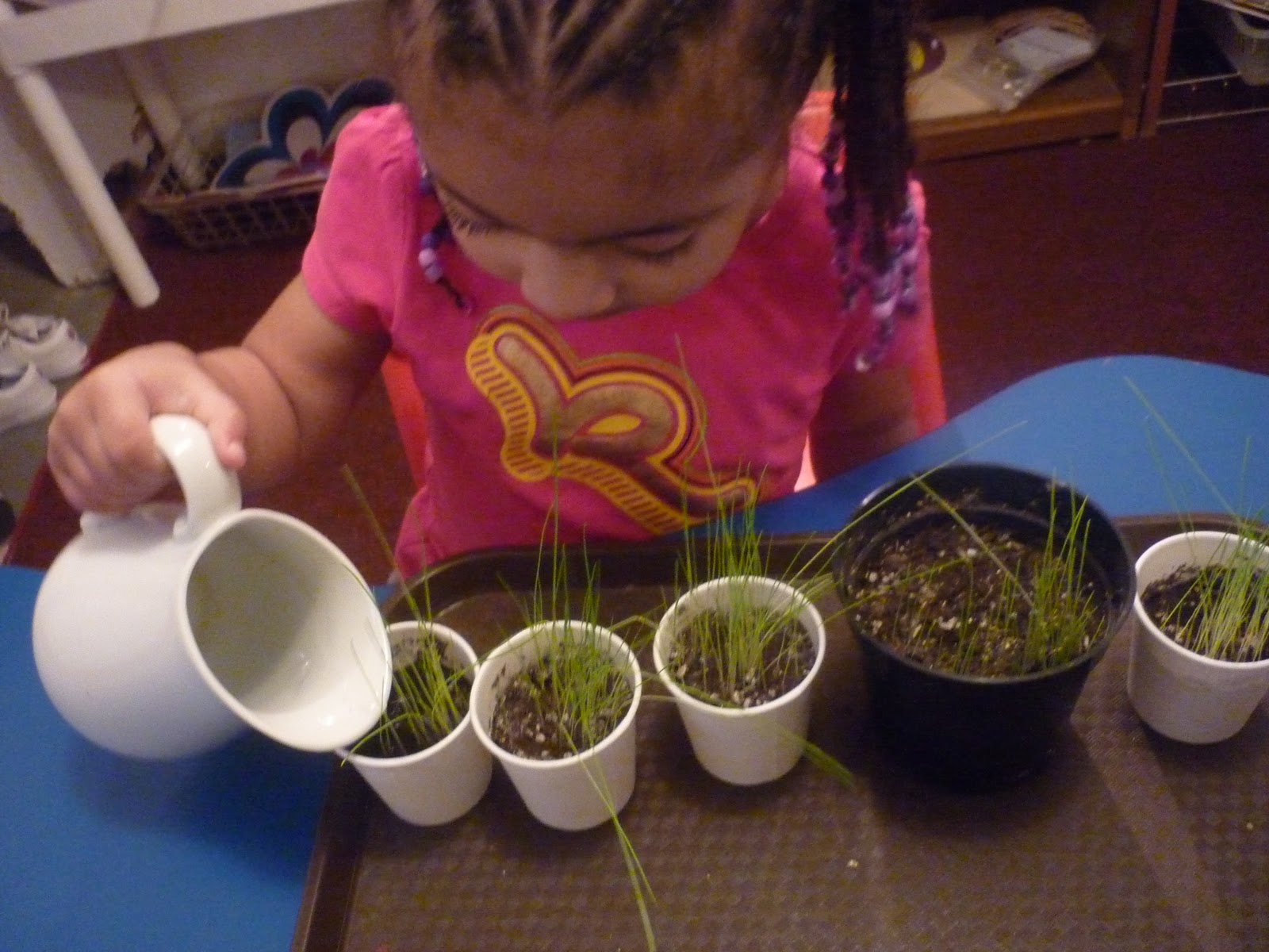 Botany Practical