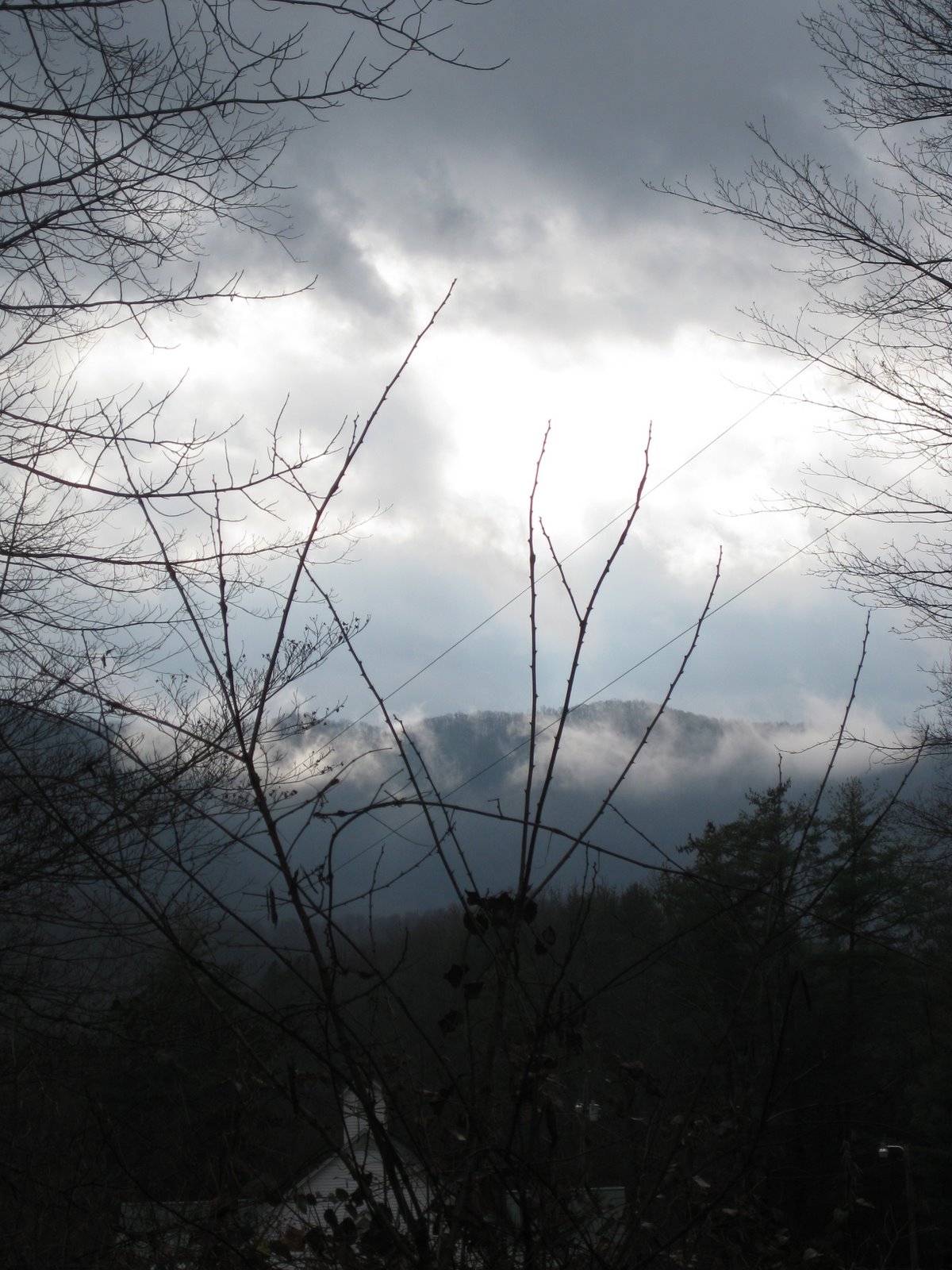 [IMG_1559.JPG]