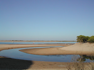 Naturaleza en estado puro