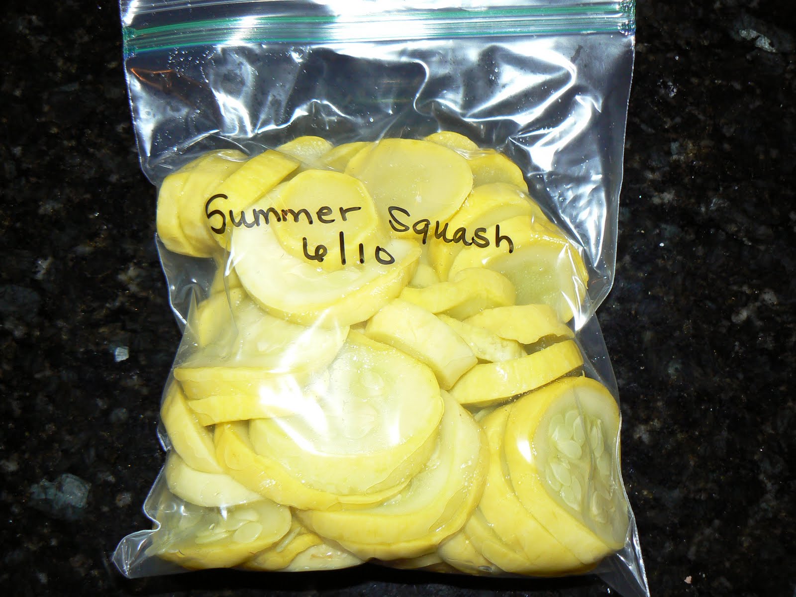 Navigating the Green Sea Freezing Squash