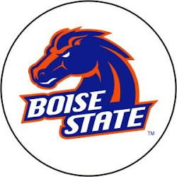 Logo Bsu