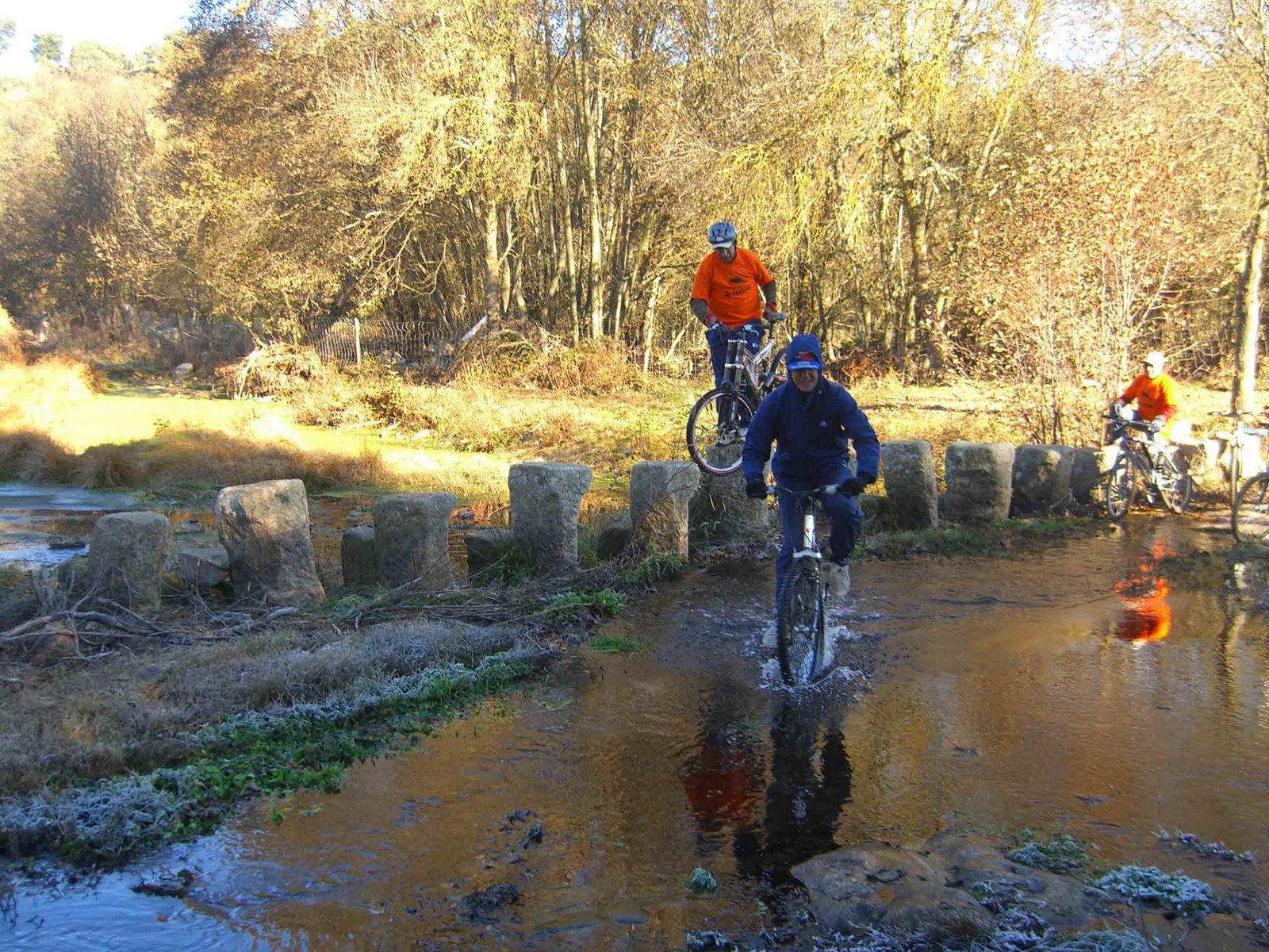 [Filipe-Ribeira.jpg]