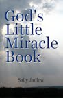 God's Little Miracle Book