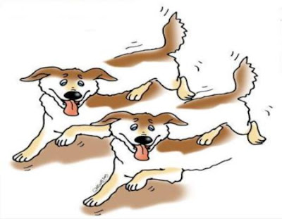http://1.bp.blogspot.com/__3VrqcqurVY/Sh4ikfJbs9I/AAAAAAAAANM/sZx4dCnhmfk/s400/dogs-optical-illusions.jpg