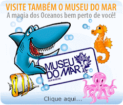 MUSEU DO MAR - SANTOS