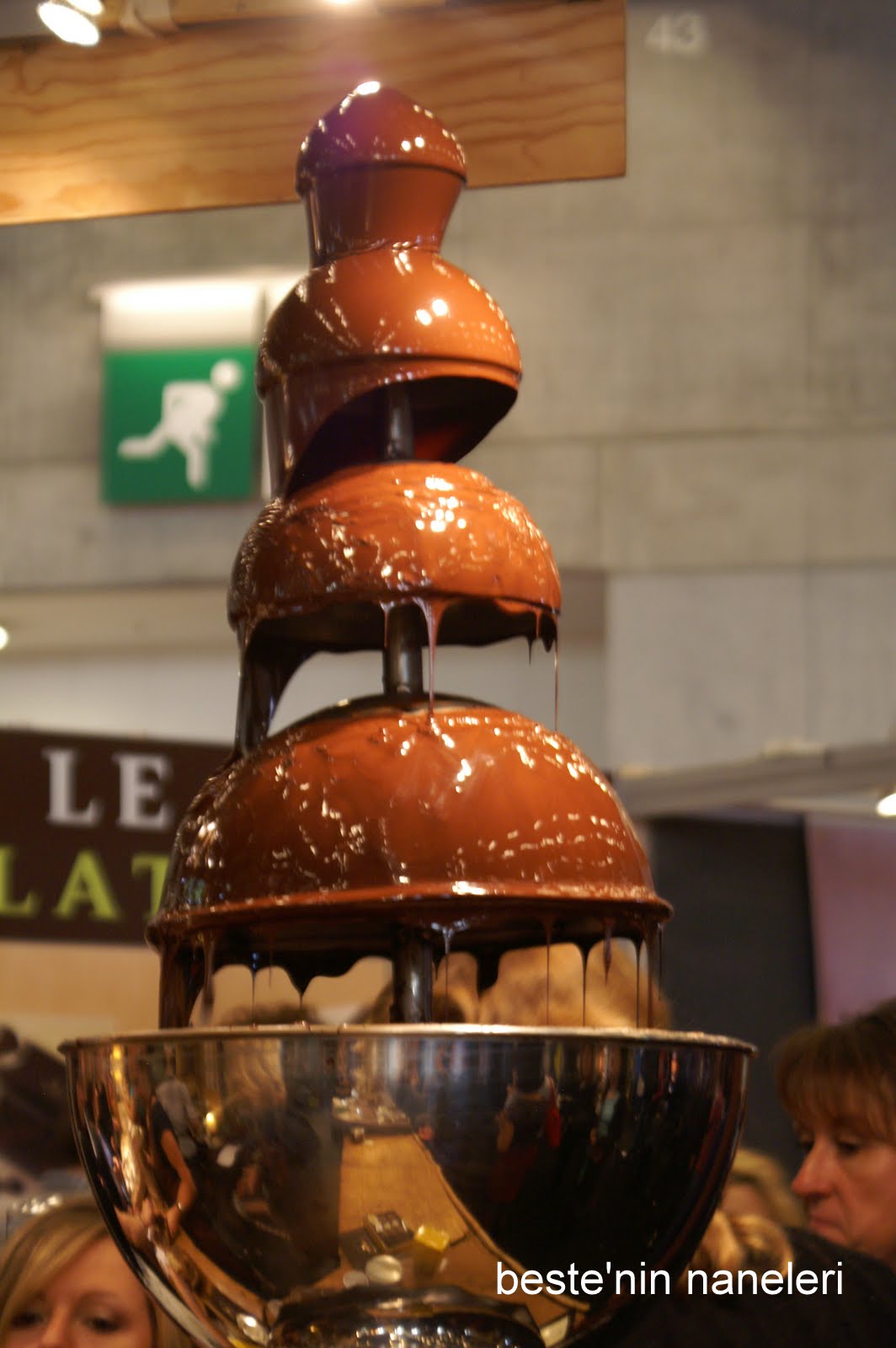 beste�nin naneleri Paris Çikolata Fuarı 2010 ya da mi demeliydim?