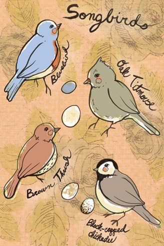 [Bird+Postcard+General.jpg]