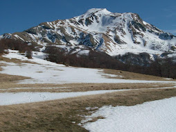 Cap. 4 - Monte Cusna (2120 m)