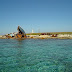 A.A.A. PIANOSA VENDESI NELL'ARCIPELAGO DELLE TREMITI