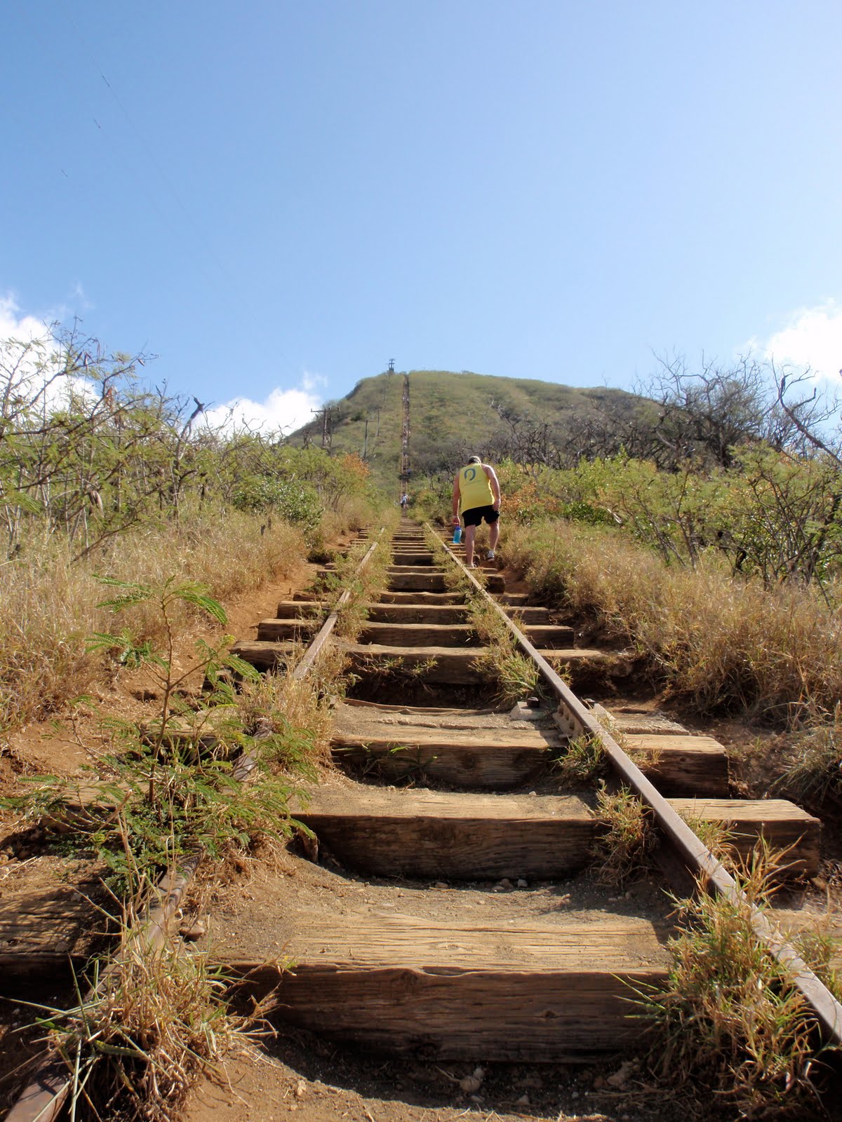 on the Run Hawaiian Hikes