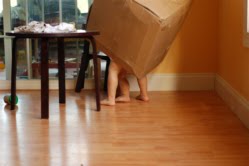 [box+boys+small.jpg]