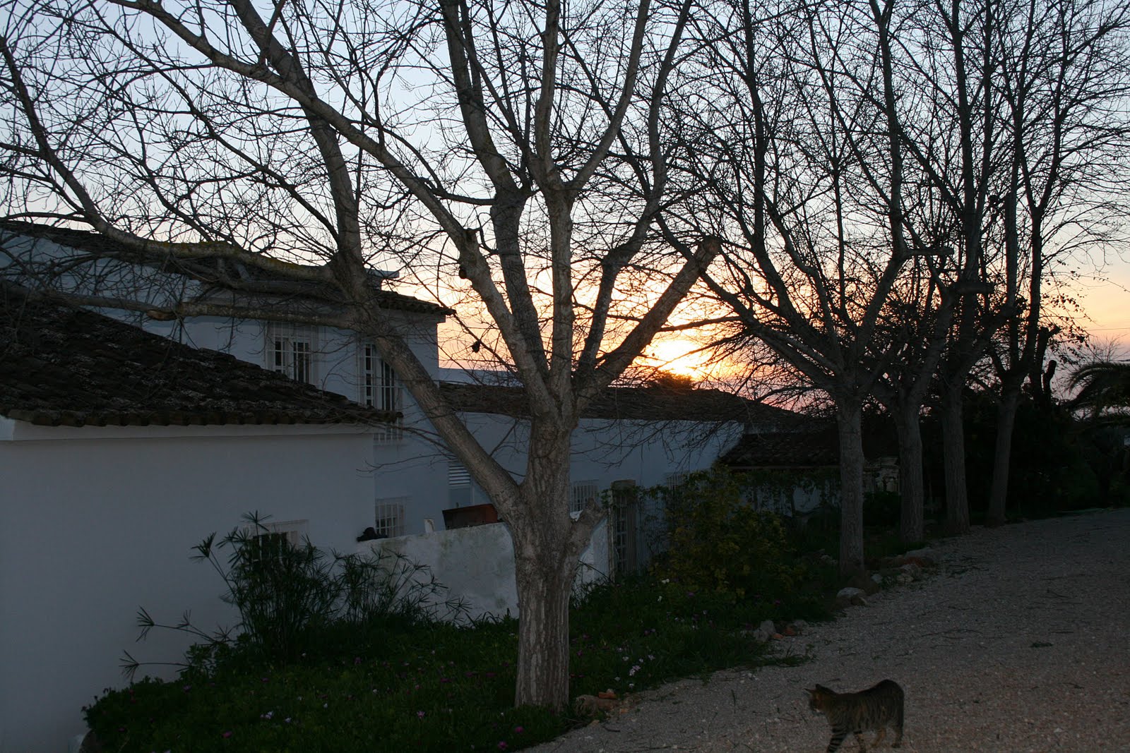[IMG_5675.JPG]