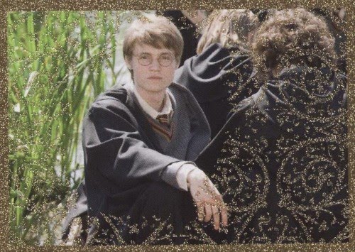 James Potter