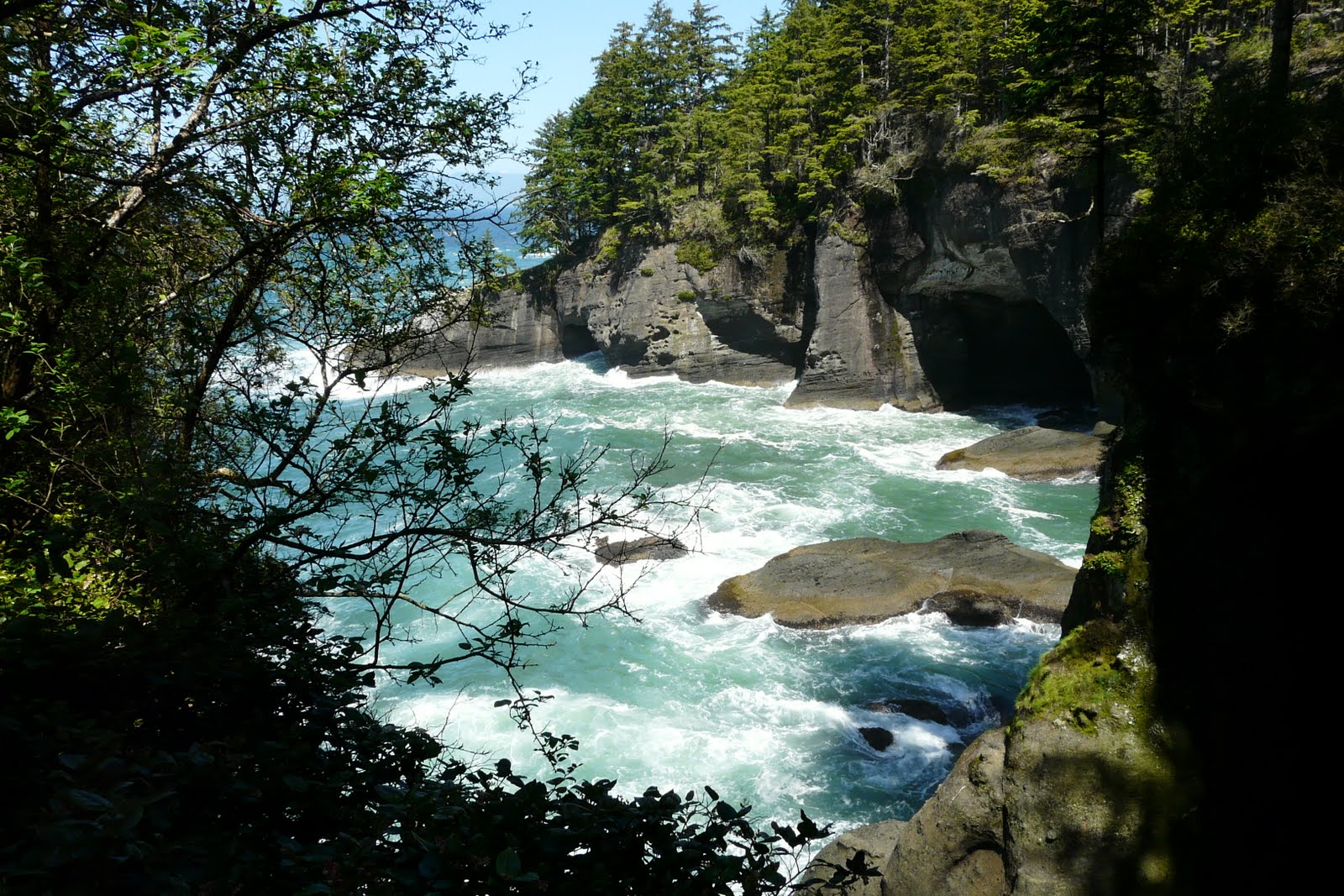 Tripping with MikenJudy 2010 FORKS, WA