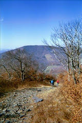 Elk's Knob NC Hiking near Boone