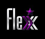 FLEX INTERNATIONAL