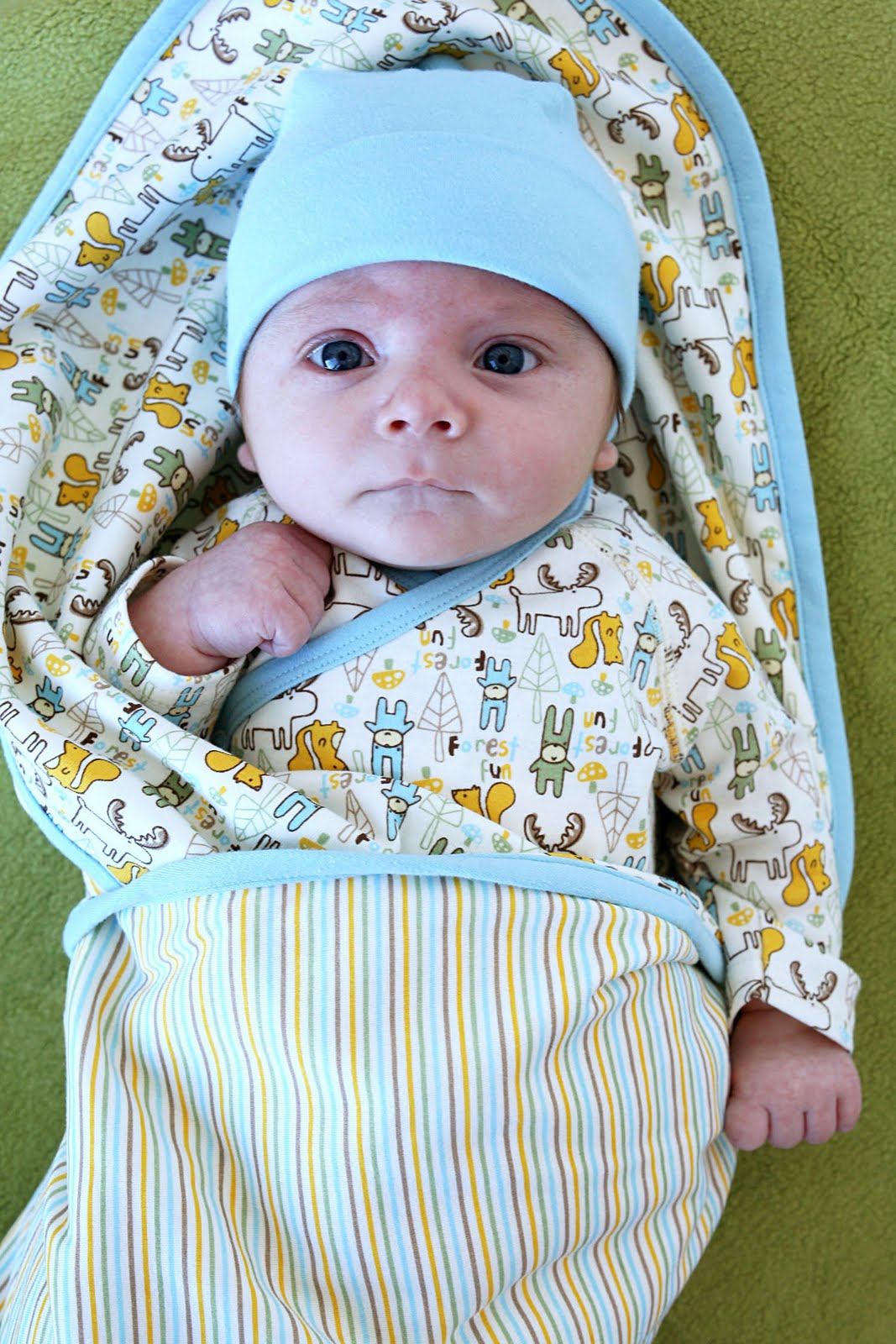 zutano baby clothes