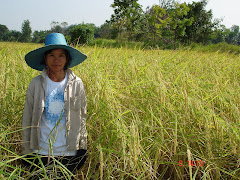 ผู้ผลิตเกษตรอินทรีย์ มกท.