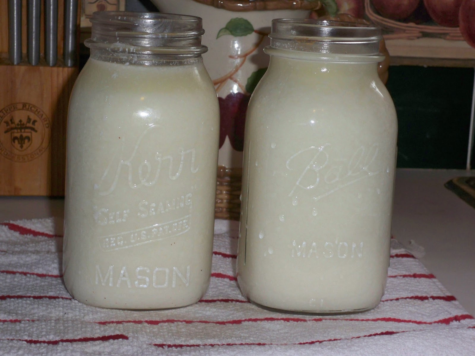 Natural Support for Digestion During Pregnancy Kristy's Cottage