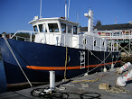 M/V Bossanova