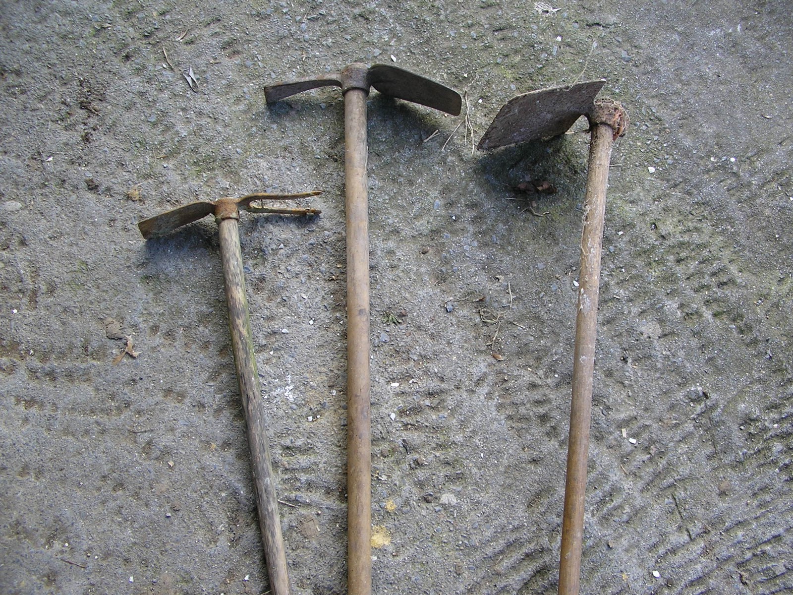 HOMENAXE AL CAMPU ASTURIANU El picon