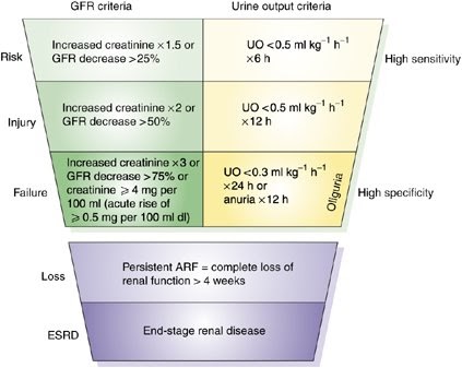 Renal Fellow Network: AKI criteria