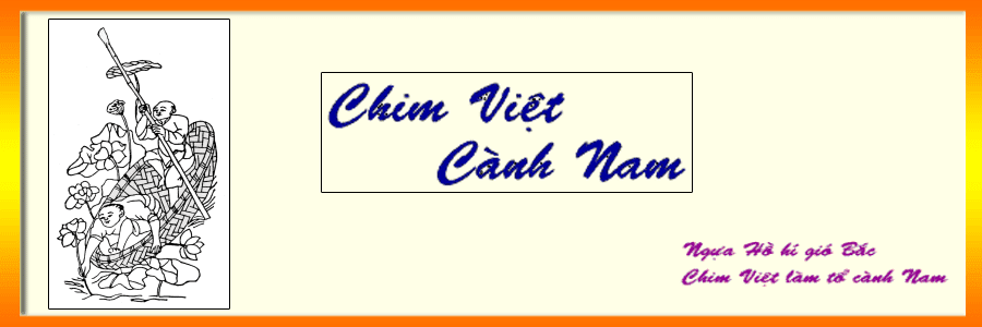 chim viet canh nam