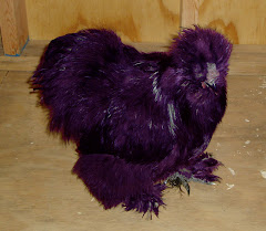 silkie