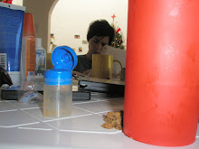 My Photo