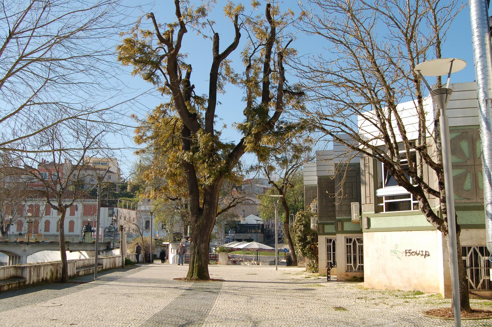 [DSC_0013.JPG]