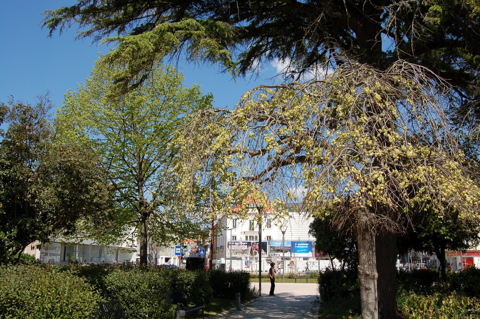 [DSC_0062.JPG]