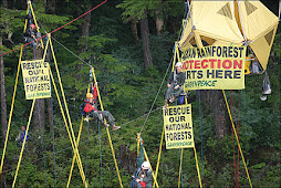 Greenpeace action
