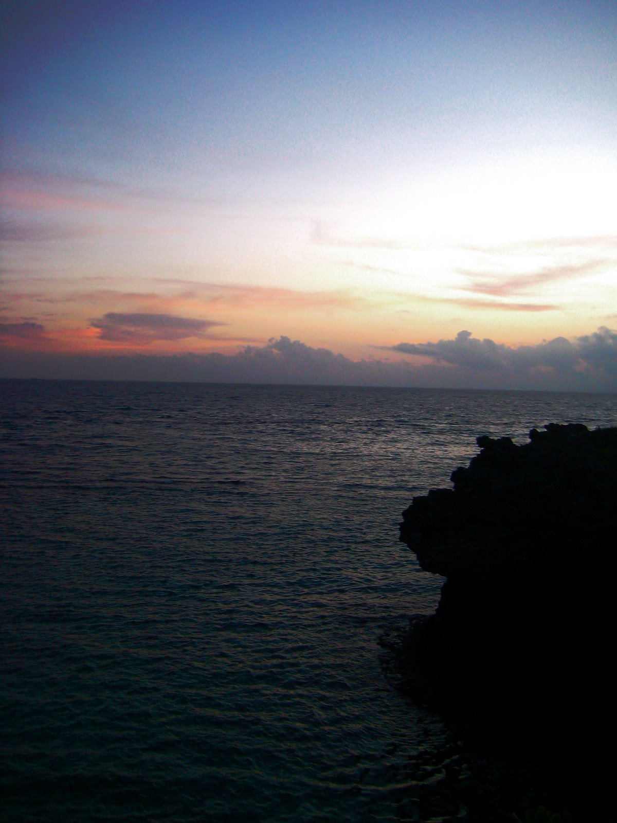 [IMG_1955_1.JPG]