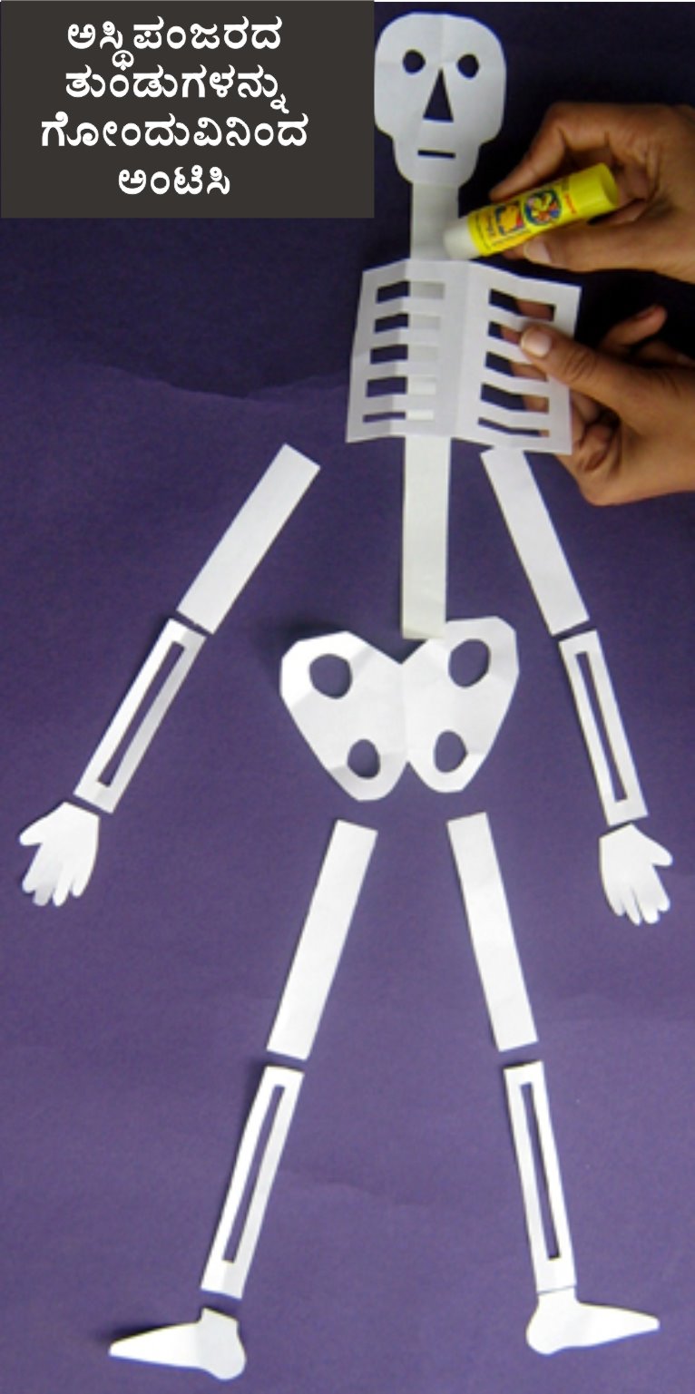 [Paper+Skeleton5.jpg]