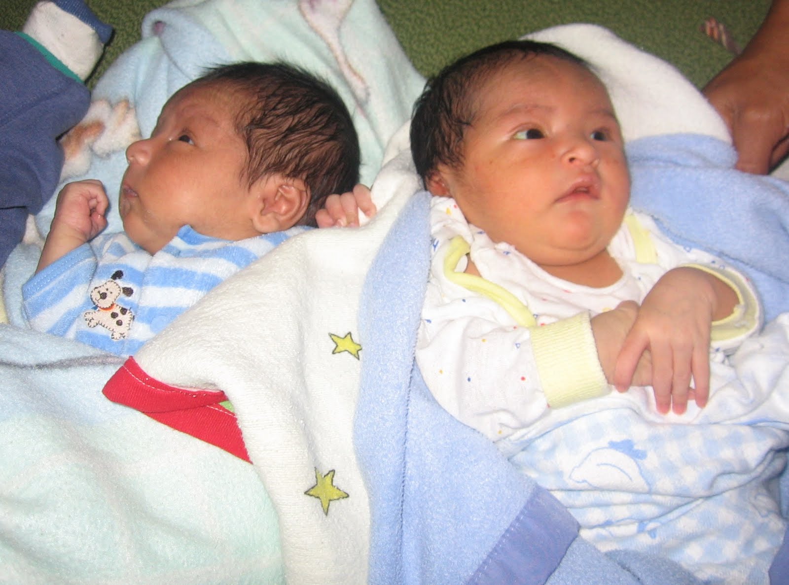 Homes of Love fake twins )