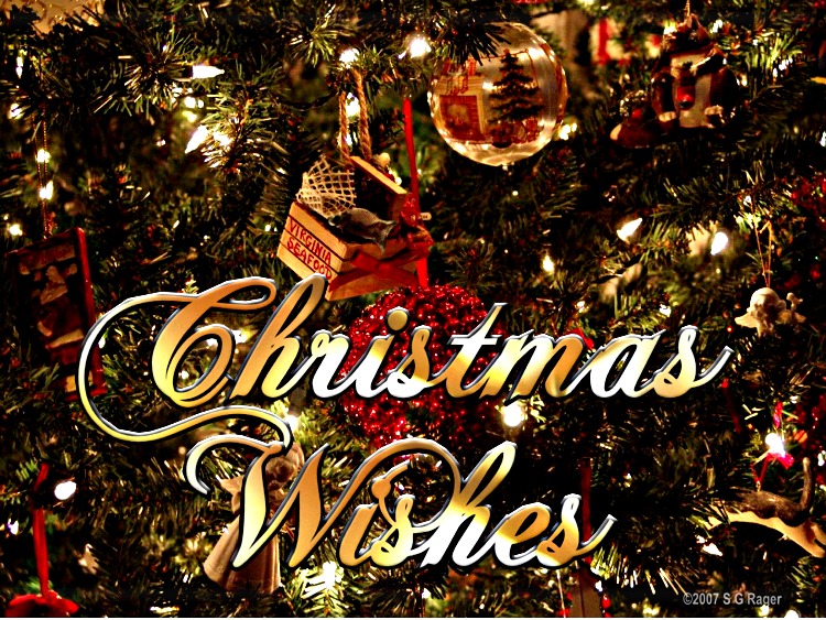 Thoughts of a simple woman: December 2010