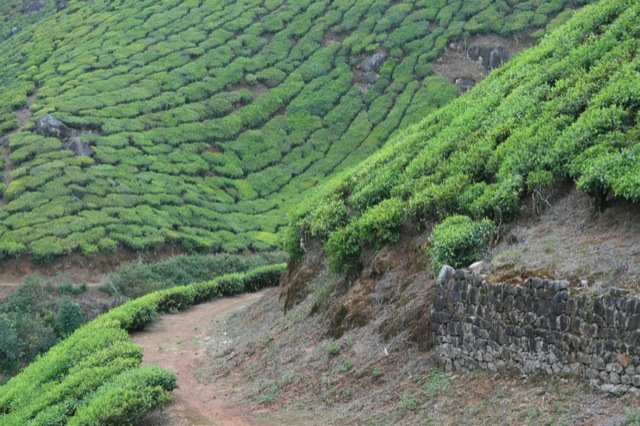 [mpn.munnar.road.003.JPG]